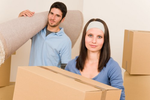 Comparing removal service pages and moving options
