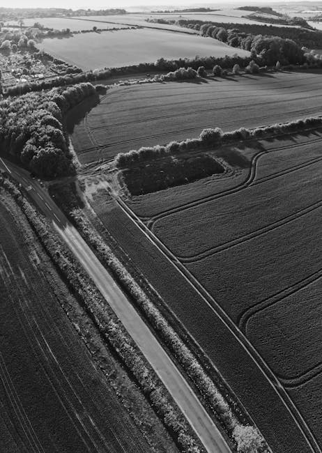 An aerial black-and-white photograph showing open fields with crop patterns and a straight rural road running diagonally from the bottom left towards the center. On the right side of the road, there are large patches of farmland with visible planting lines and bordered by a dense line of trees. In the background, additional fields and woodland areas extend into the distance. This landscape view is typical of the rural environment around Sudbury, providing context for house removals and home relocation services offered by Man with Van Sudbury, which likely involves planning transportation routes such as those between Ballingdon and Great Cornard. The image emphasizes the open, green spaces and transportation infrastructure relevant to moving logistics.