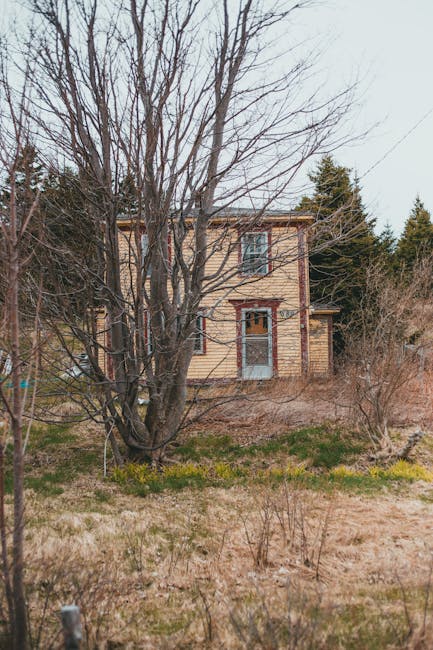 A two-storey house viewed from the garden with a large, leafless tree in the foreground, branches extending across the image. The house is constructed with beige wooden cladding and features red brick accents around the windows and doorframes. The front door is centered on the lower level, with a small window to the right and a larger window above it on the upper floor. The property is surrounded by overgrown grass, shrubs, and some yellow flowering plants, indicating a rural or semi-rural setting. The scene appears to be during late autumn or early winter, as the garden vegetation is dormant, and the sky is overcast. This image illustrates the type of property that may undergo house removals or relocation, relevant to services like those provided by Man with Van Sudbury, who specialize in furniture transport, packing, and loading during home relocation processes.